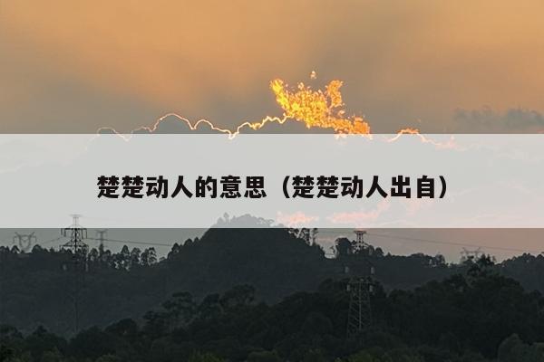 楚楚动人的意思（楚楚动人出自）