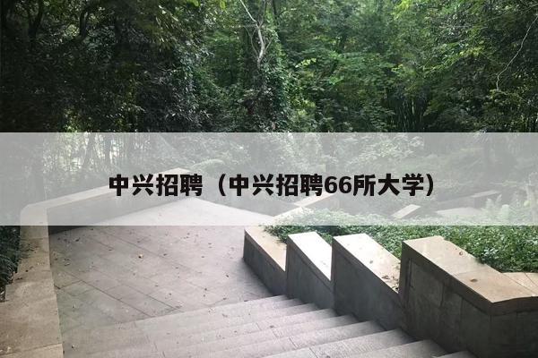 中兴招聘（中兴招聘66所大学）