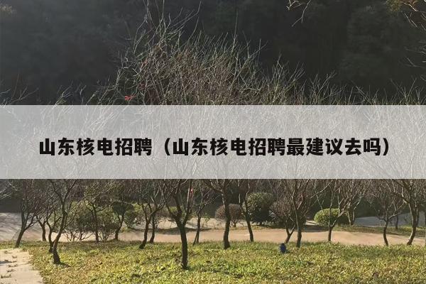 山东核电招聘（山东核电招聘最建议去吗）