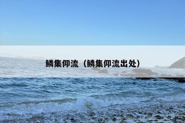 鳞集仰流（鳞集仰流出处）