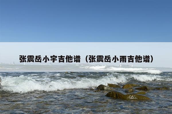 张震岳小宇吉他谱（张震岳小雨吉他谱）