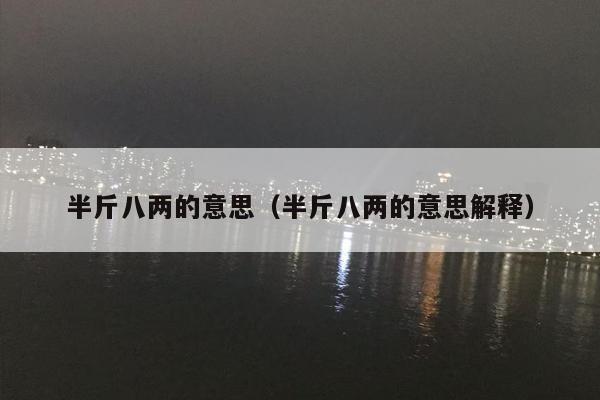 半斤八两的意思（半斤八两的意思解释）
