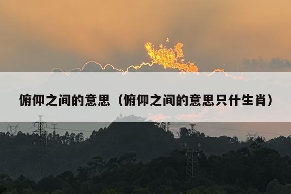 俯仰之间的意思（俯仰之间的意思只什生肖）