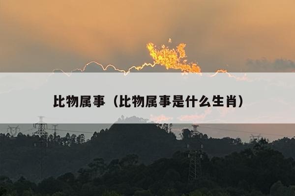 比物属事（比物属事是什么生肖）
