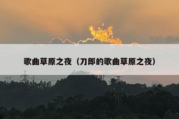 歌曲草原之夜（刀郎的歌曲草原之夜）