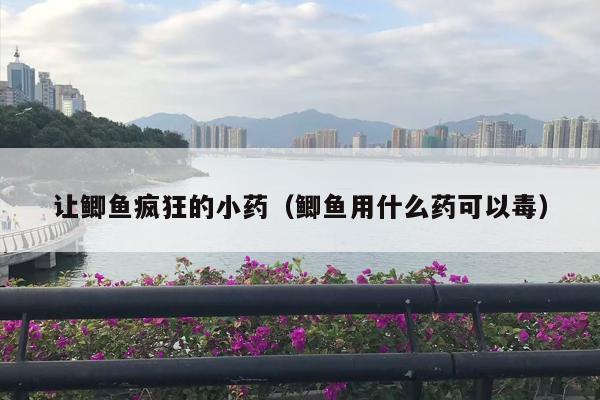 让鲫鱼疯狂的小药（鲫鱼用什么药可以毒）