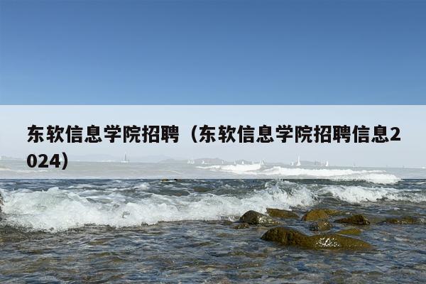 东软信息学院招聘（东软信息学院招聘信息2024）