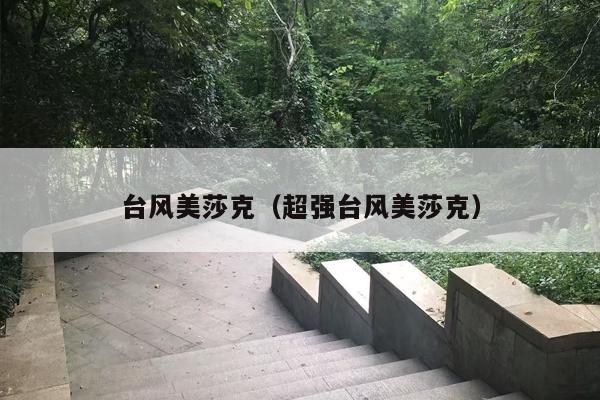 台风美莎克（超强台风美莎克）