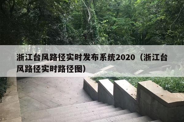 浙江台风路径实时发布系统2020（浙江台风路径实时路径图）
