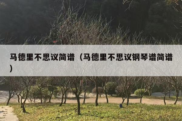 马德里不思议简谱（马德里不思议钢琴谱简谱）