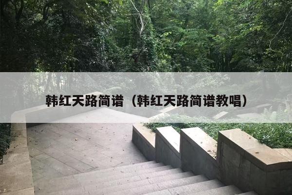 韩红天路简谱（韩红天路简谱教唱）