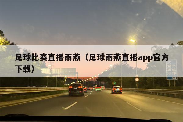 足球比赛直播雨燕（足球雨燕直播app官方下载）