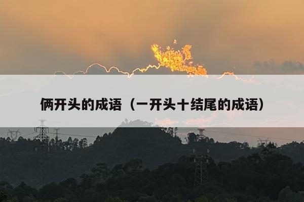 俩开头的成语（一开头十结尾的成语）