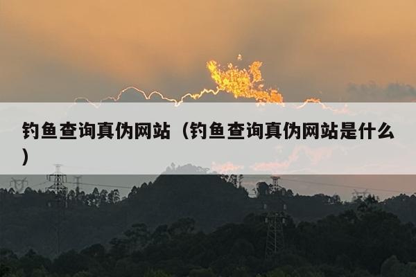钓鱼查询真伪网站（钓鱼查询真伪网站是什么）