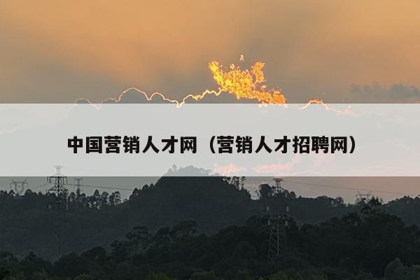 中国营销人才网（营销人才招聘网）