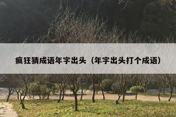 疯狂猜成语年字出头（年字出头打个成语）