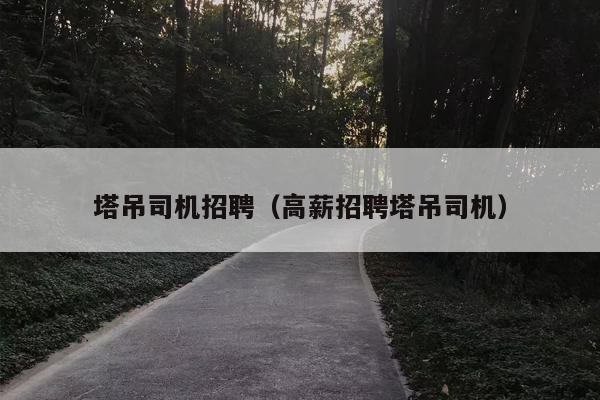 塔吊司机招聘（高薪招聘塔吊司机）