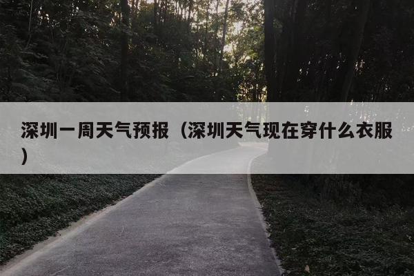 深圳一周天气预报（深圳天气现在穿什么衣服）
