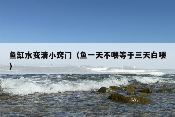 鱼缸水变清小窍门（鱼一天不喂等于三天白喂）