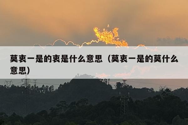 莫衷一是的衷是什么意思（莫衷一是的莫什么意思）