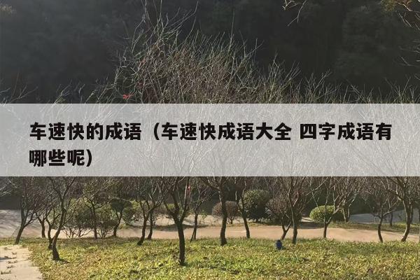 车速快的成语（车速快成语大全 四字成语有哪些呢）