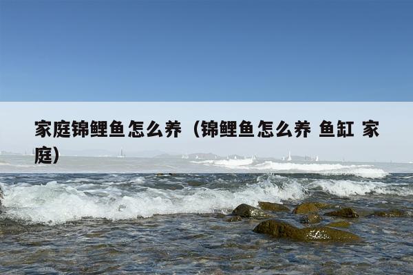 家庭锦鲤鱼怎么养（锦鲤鱼怎么养 鱼缸 家庭）