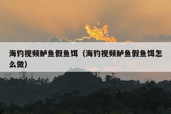 海钓视频鲈鱼假鱼饵（海钓视频鲈鱼假鱼饵怎么做）