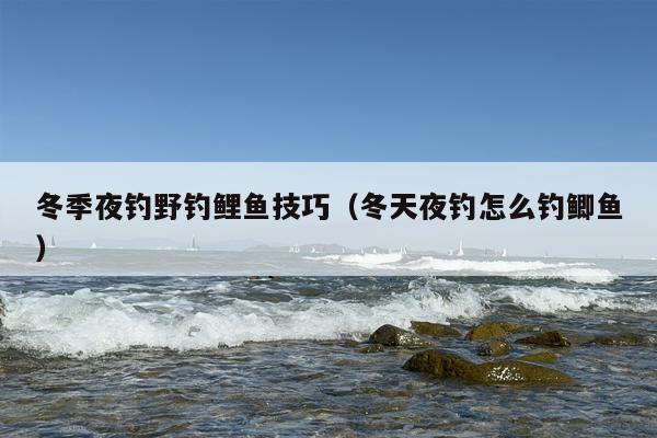 冬季夜钓野钓鲤鱼技巧（冬天夜钓怎么钓鲫鱼）