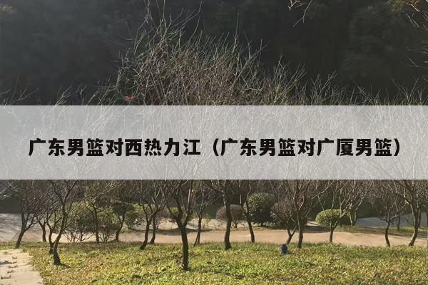 广东男篮对西热力江（广东男篮对广厦男篮）