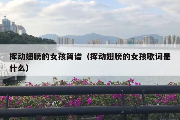 挥动翅膀的女孩简谱（挥动翅膀的女孩歌词是什么）