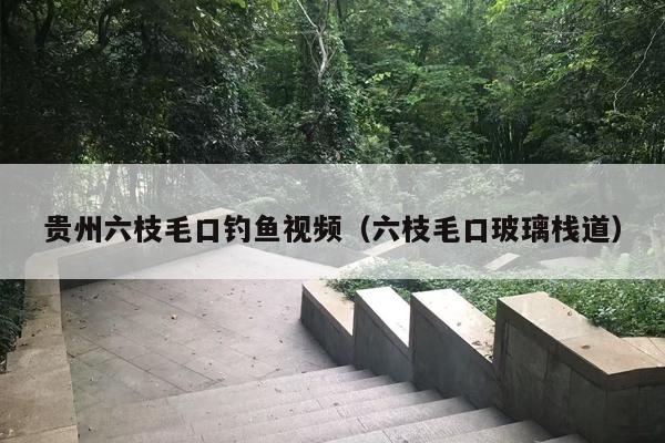 贵州六枝毛口钓鱼视频（六枝毛口玻璃栈道）