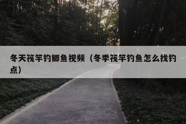冬天筏竿钓鲫鱼视频（冬季筏竿钓鱼怎么找钓点）