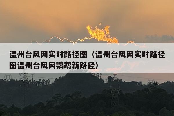 温州台风网实时路径图（温州台风网实时路径图温州台风网鹦鹉新路径）