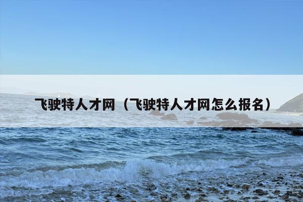 飞驶特人才网（飞驶特人才网怎么报名）