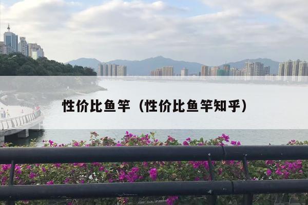 性价比鱼竿（性价比鱼竿知乎）