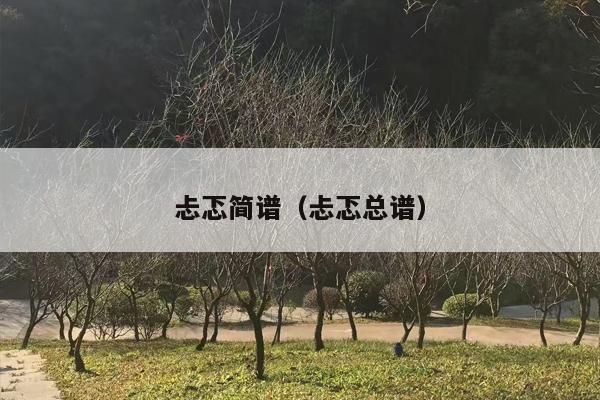 忐忑简谱（忐忑总谱）