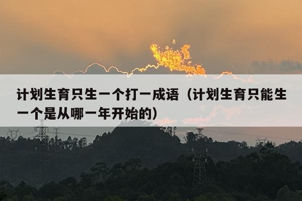 计划生育只生一个打一成语（计划生育只能生一个是从哪一年开始的）