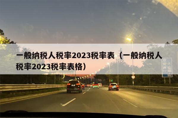 一般纳税人税率2023税率表（一般纳税人税率2023税率表格）