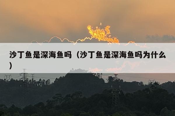 沙丁鱼是深海鱼吗（沙丁鱼是深海鱼吗为什么）