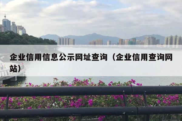 企业信用信息公示网址查询（企业信用查询网站）