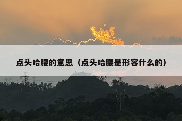 点头哈腰的意思（点头哈腰是形容什么的）