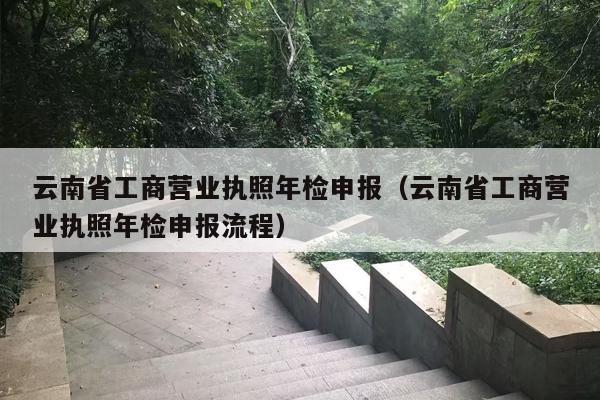 云南省工商营业执照年检申报（云南省工商营业执照年检申报流程）