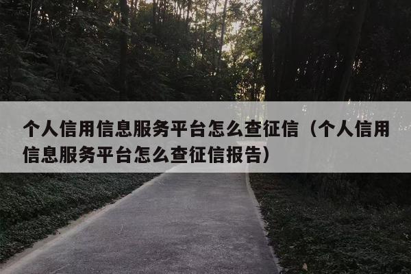 个人信用信息服务平台怎么查征信（个人信用信息服务平台怎么查征信报告）