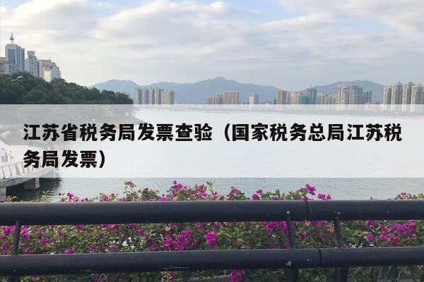 江苏省税务局发票查验（国家税务总局江苏税务局发票）