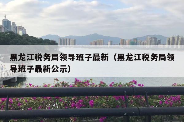 黑龙江税务局领导班子最新（黑龙江税务局领导班子最新公示）