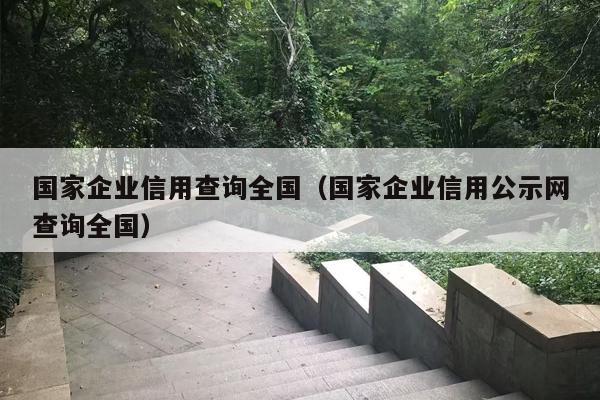 国家企业信用查询全国（国家企业信用公示网查询全国）