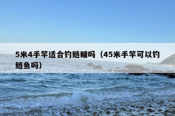 5米4手竿适合钓鲢鳙吗（45米手竿可以钓鲢鱼吗）