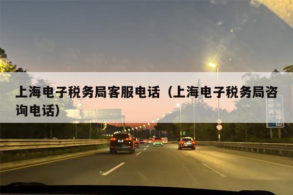上海电子税务局客服电话（上海电子税务局咨询电话）