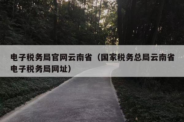 电子税务局官网云南省（国家税务总局云南省电子税务局网址）