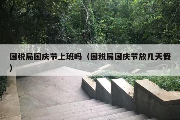 国税局国庆节上班吗（国税局国庆节放几天假）